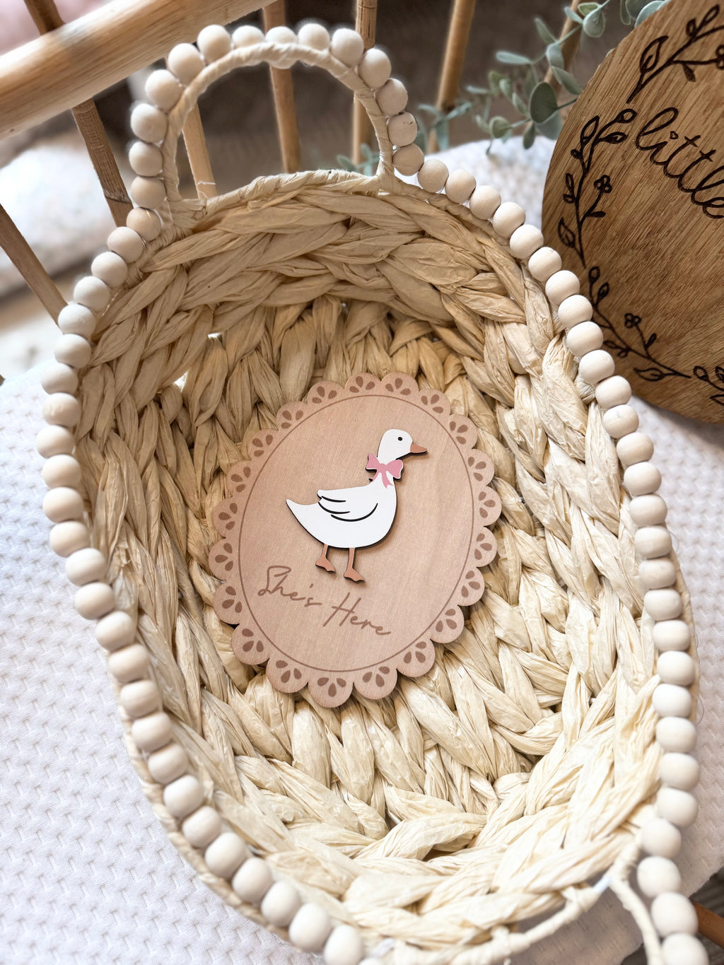 Double sided duck theme hello world plaque