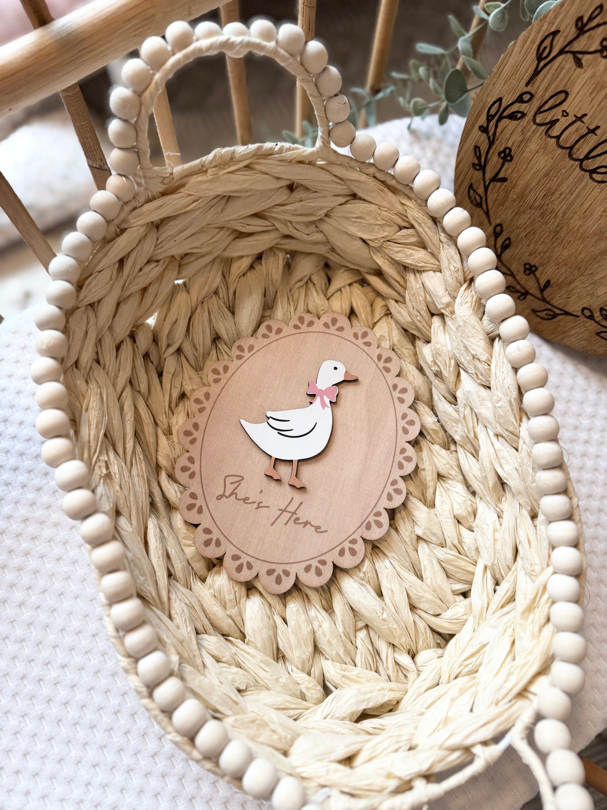 Double sided duck theme hello world plaque