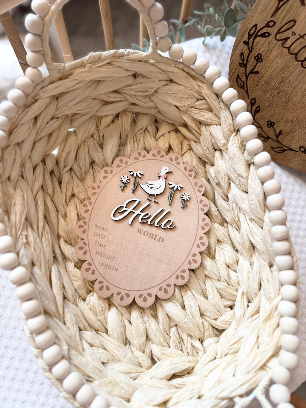 Double sided duck theme hello world plaque