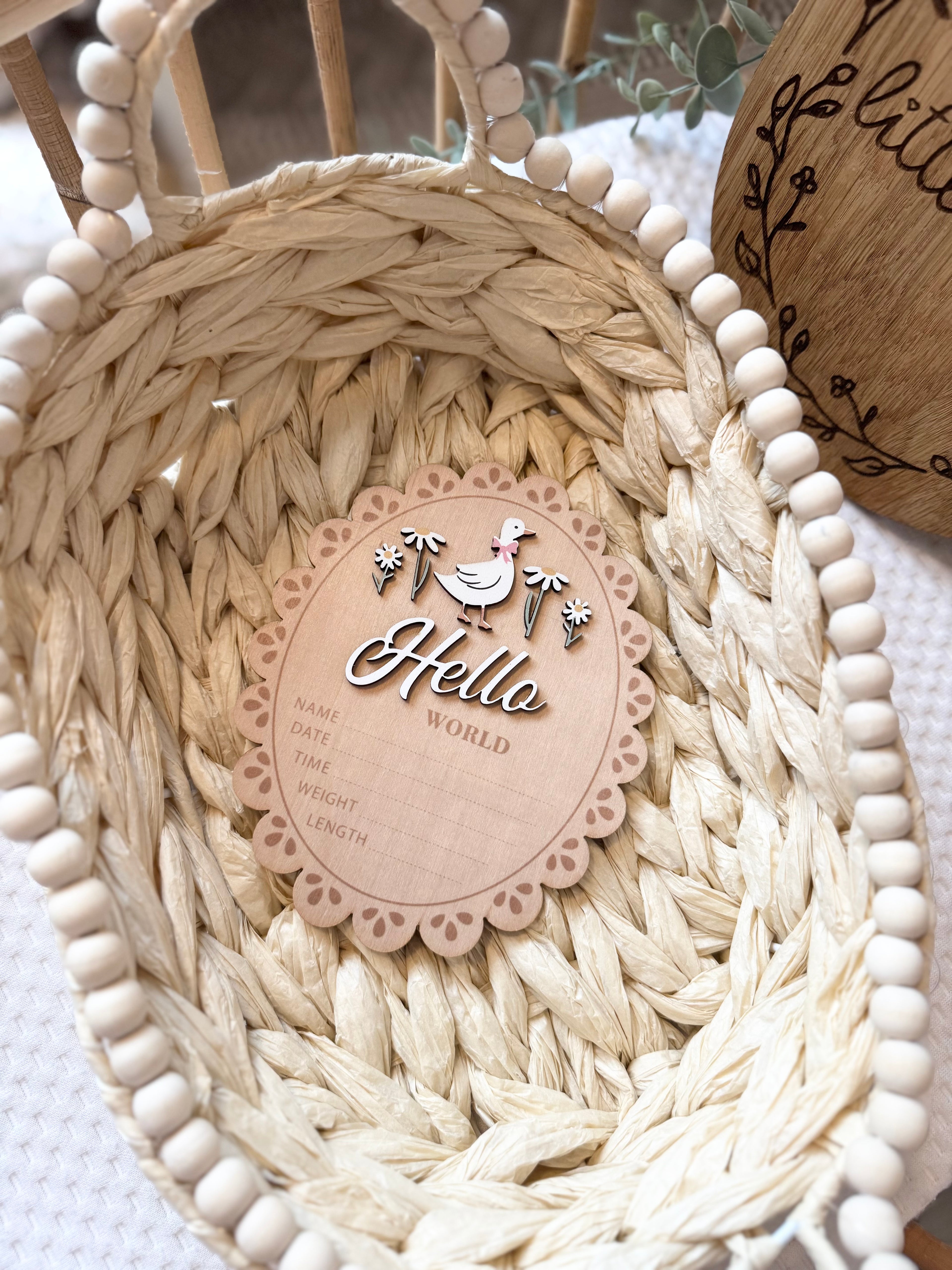 Double sided duck theme hello world plaque