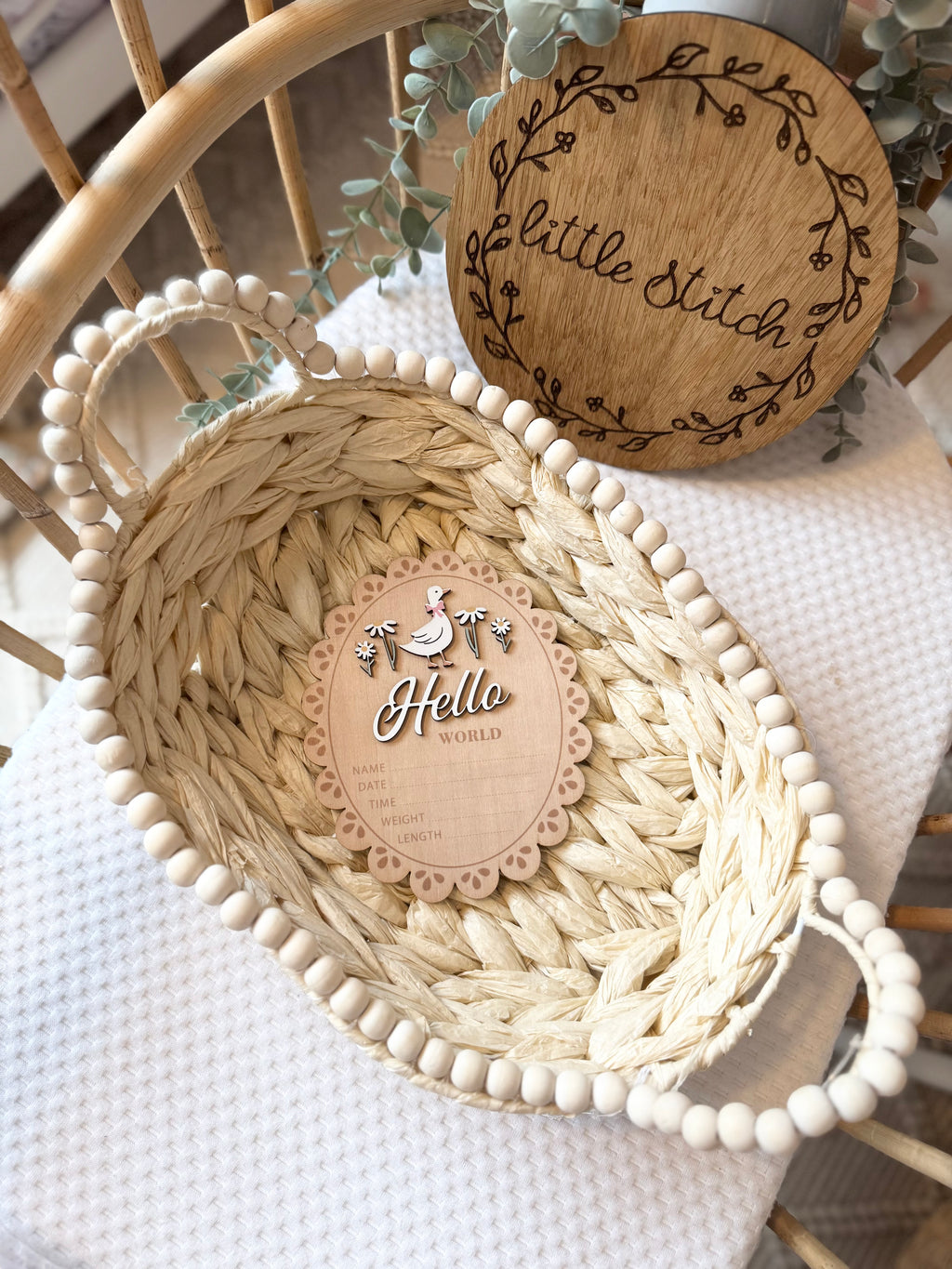 Double sided duck theme hello world plaque