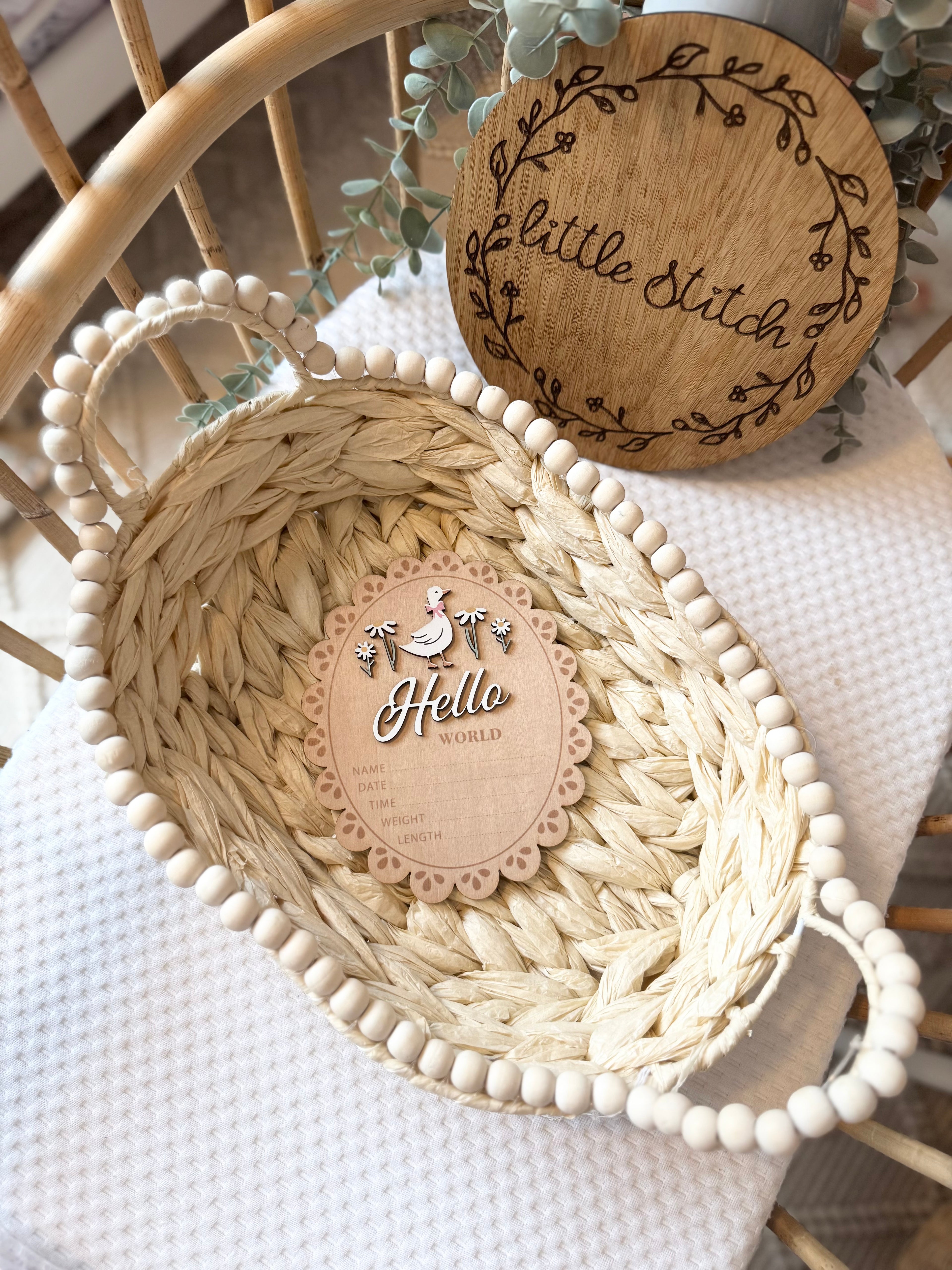 Double sided duck theme hello world plaque